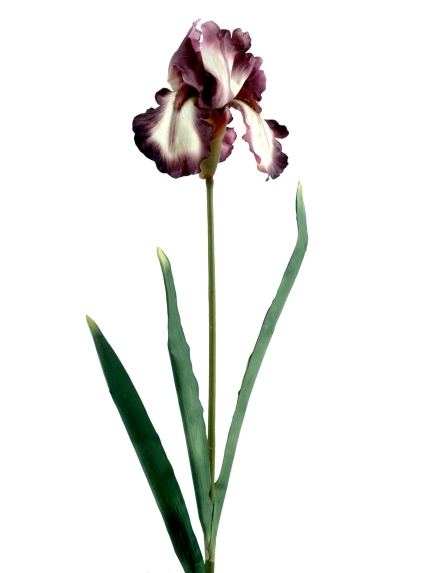 Iris sauvage artificiel vendu par 6 tiges
