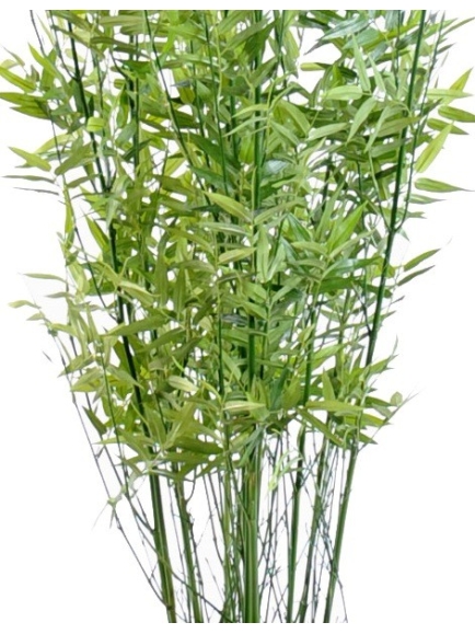 Bambou artificiel multitree oriental green - 160 cm