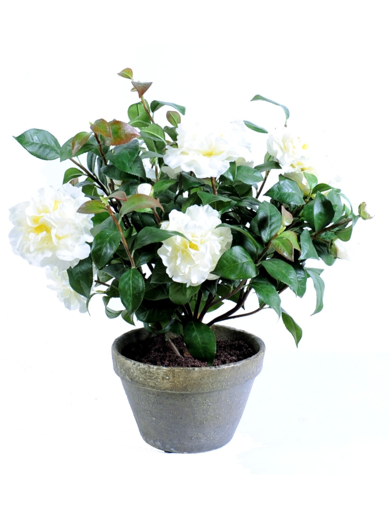 Camélia artificiel 56 cm - pot terre