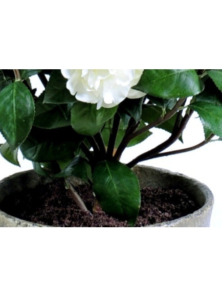 Camélia artificiel 56 cm - pot terre