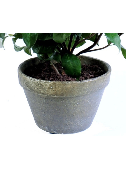 Camélia artificiel 56 cm - pot terre