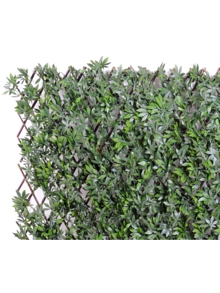 Haie aralia palissade artificielle 100 cm Hauteur - 200 cm Largeur