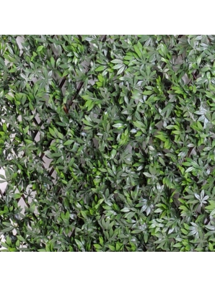 Haie aralia palissade artificielle 100 cm Hauteur - 200 cm Largeur