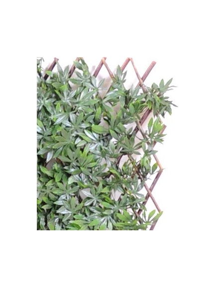 Haie aralia palissade artificielle 100 cm Hauteur - 200 cm Largeur