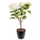 Hortensia artificiel en piquet - 3 couleurs au choix  Blanc