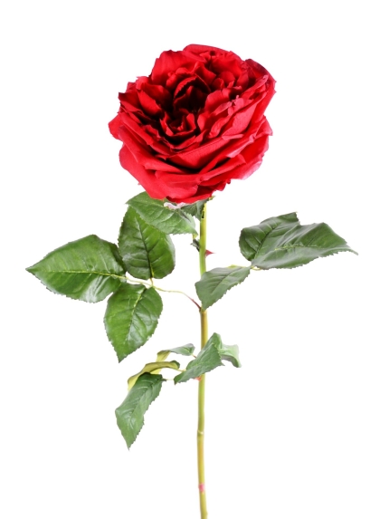 Rose Anglaise artificielle - 6 couleurs - Diam 14 cm - Vendues par 3