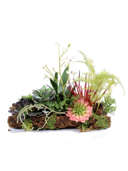 Composition Orchidée - Succulente artificielle