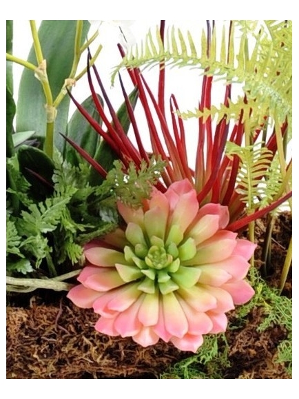 Composition Orchidée - Succulente artificielle
