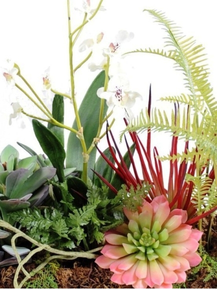 Composition Orchidée - Succulente artificielle