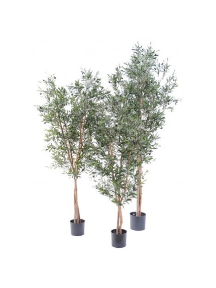 Olivier artificiel new large - 3 tailles au choix - 150, 180 ou 210 cm