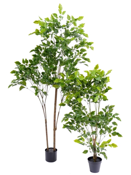 Arbres artificiels Palissandre Plastique - 120 ou 175 cm