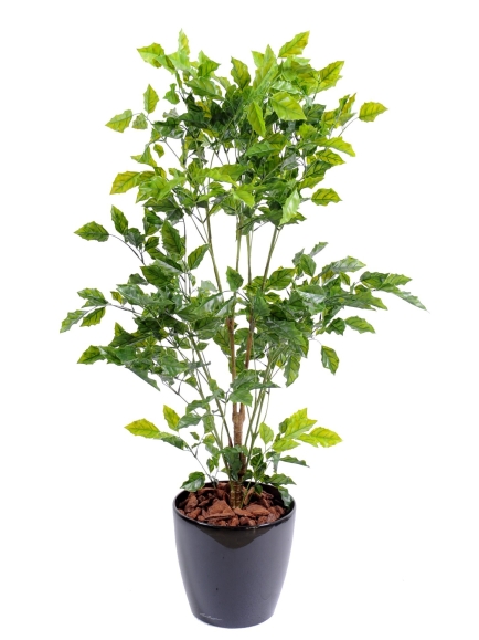 Arbres artificiels Palissandre Plastique - 120 ou 175 cm