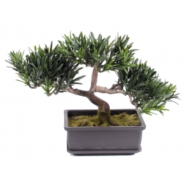 Bonsais artificiels mini - hauteur 22 cm - 3 modeles au choix Bonsai mini podocarpus