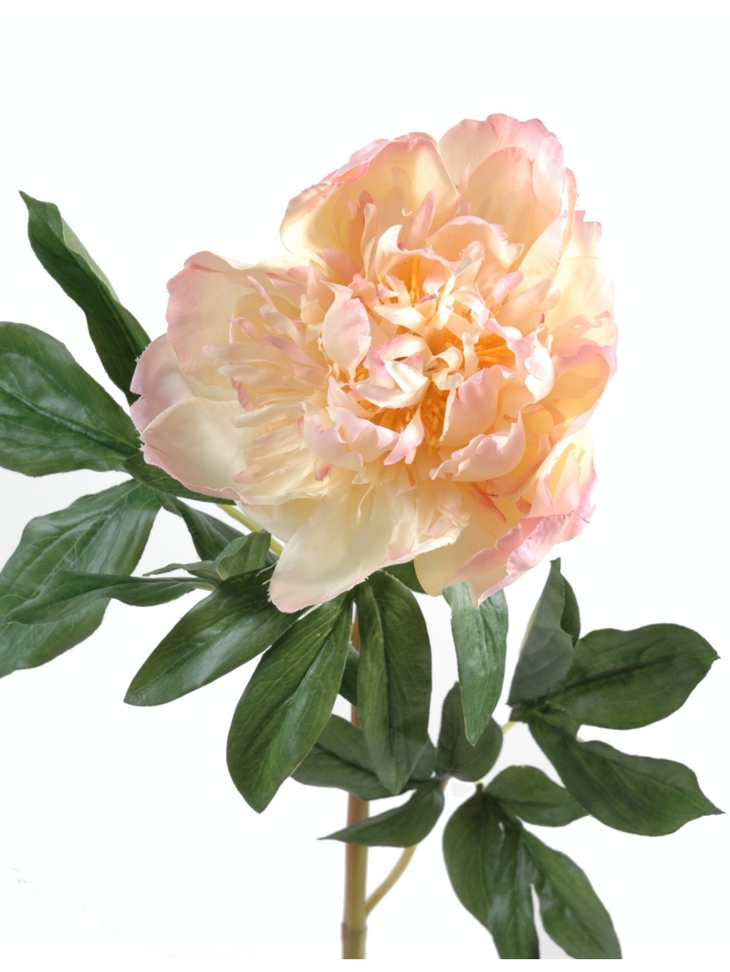 Pivoines artificielles - vendues par 6 tiges