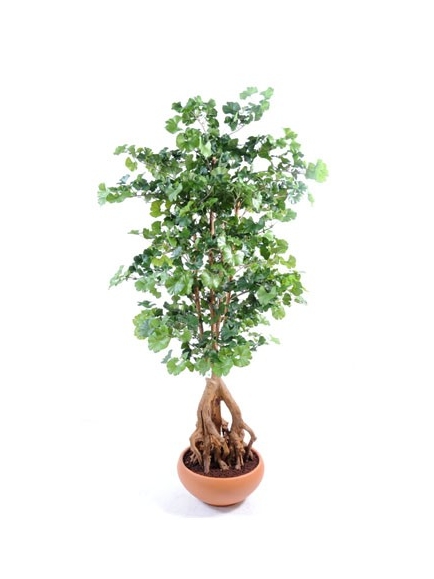 Ginkgobiloba Root artificiel - Hauteur 180 cm