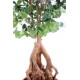 Ginkgobiloba Root artificiel - Hauteur 180 cm