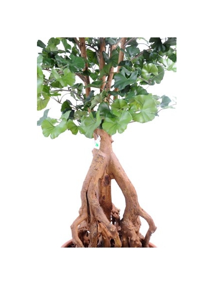 Ginkgobiloba Root artificiel - Hauteur 180 cm