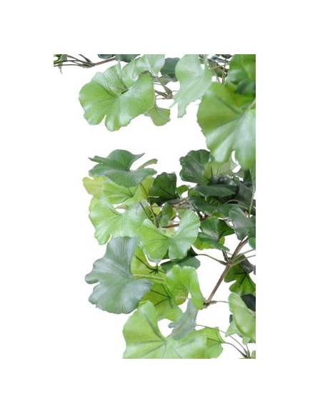 Ginkgobiloba Root artificiel - Hauteur 180 cm