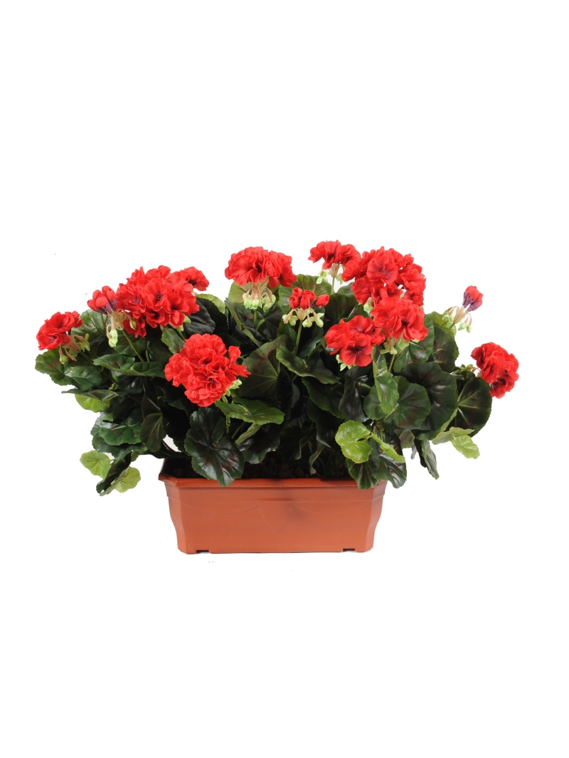 Jardinières Géraniums Artificielles (2 piquets)
