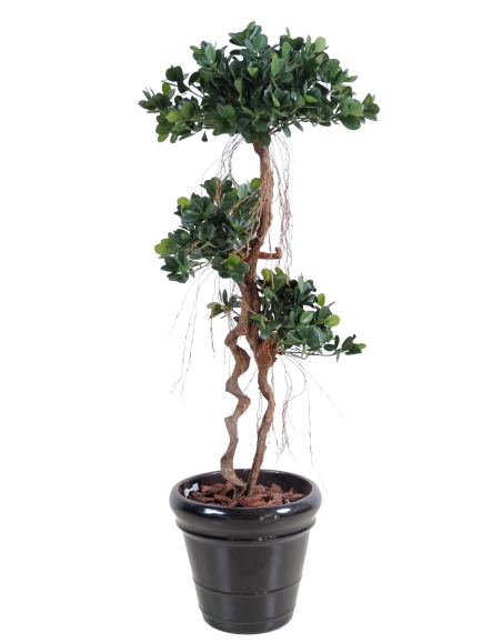 Ficus artificiel Panda New - 150 cm - Tronc Bois Naturel