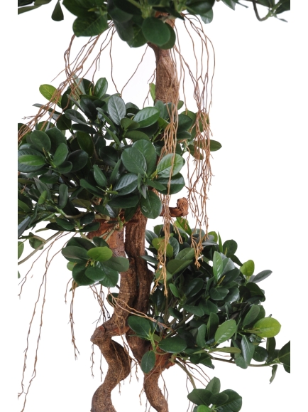 Ficus artificiel Panda New - 150 cm - Tronc Bois Naturel