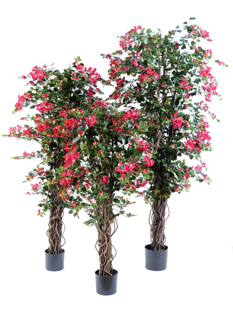 Bougainvillée artificiel Liane bois naturel