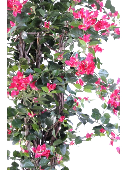 Bougainvillée artificiel Liane bois naturel