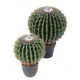 Cactus artificiel Echino rond 27 CM