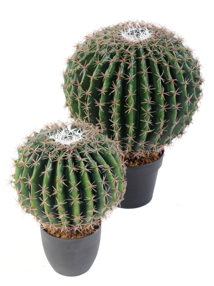 Cactus artificiel Echino rond  - 35 cm et 45 cm