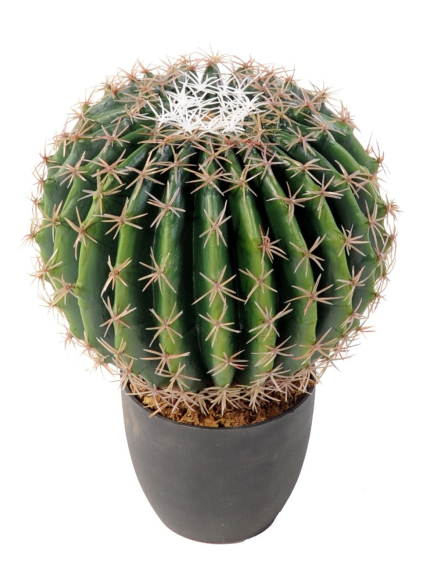 Cactus artificiel Echino rond  - 35 cm et 45 cm