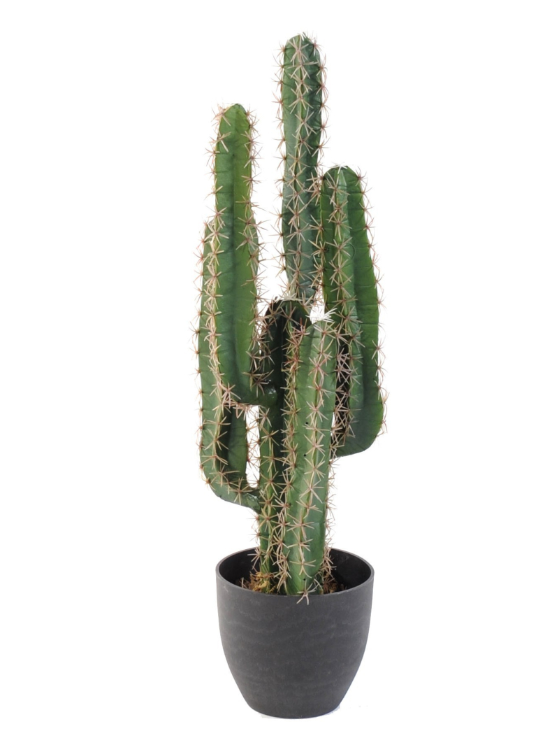 Cactus artificiel Finger - 75 cm - 150 cm et 185 cm