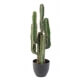 Cactus artificiel Finger - 75 cm - 150 cm et 185 cm 75 CM