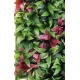 Mur végétal artificiel - Hauteur 230 cm - Largueur 130 cm