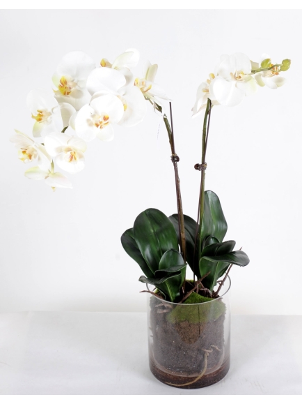 Orchidée Phalaenopsis artificielle - Vase rond