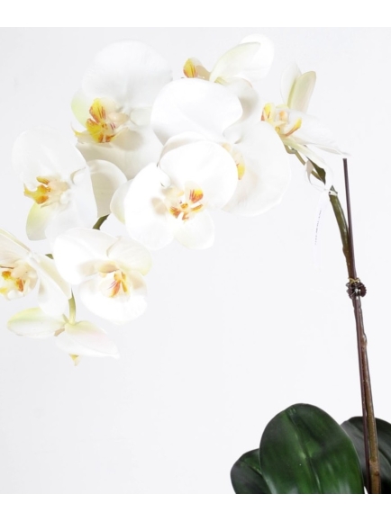 Orchidée Phalaenopsis artificielle - Vase rond