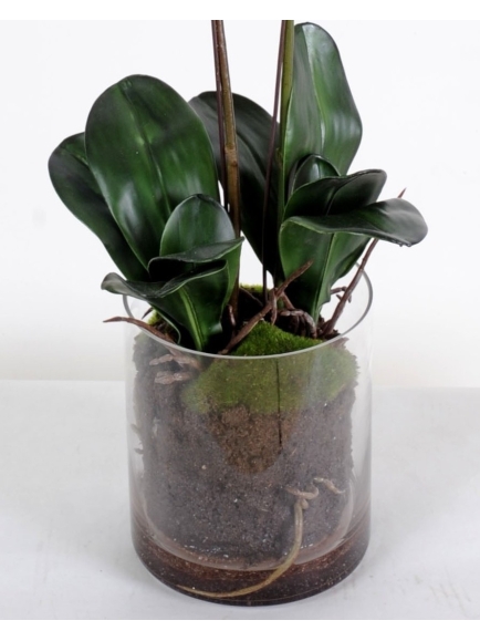 Orchidée Phalaenopsis artificielle - Vase rond