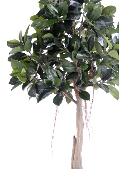 Rubber plant tree artificiel - 220 cm