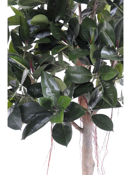 Rubber plant tree artificiel - 220 cm