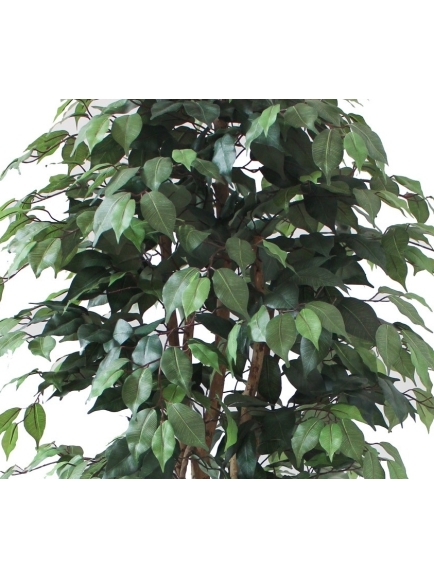 Ficus artificiel multitroncs