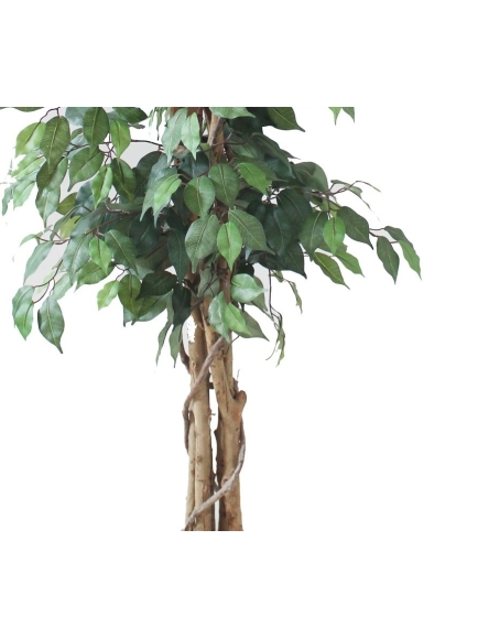 Ficus artificiel multitroncs
