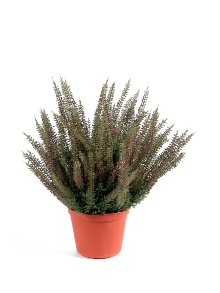 Bruyère artificielle Large en pot - 2 couleurs