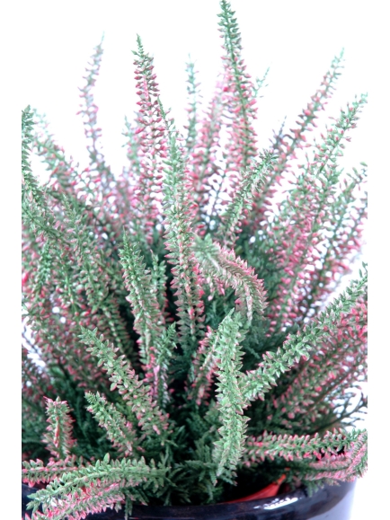 Bruyère artificielle Large en pot - 2 couleurs