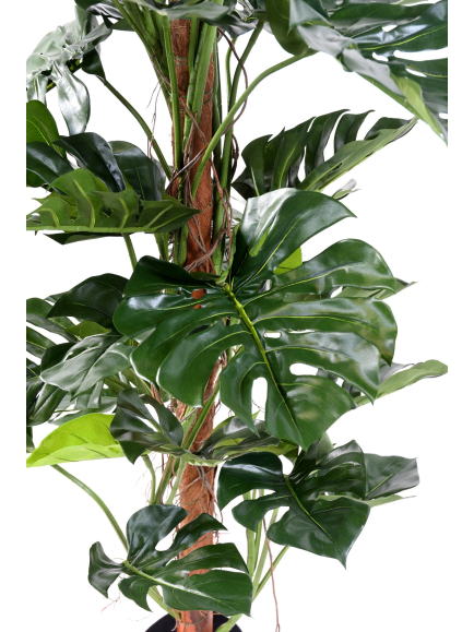 Phylodendron artificiel tronc coco - 160 cm