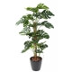 Phylodendron artificiel tronc coco - 160 cm