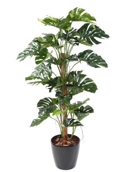 Phylodendron artificiel tronc coco - 160 cm