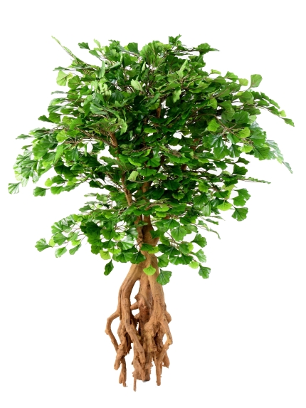 Ginkgobiloba Root artificiel - 135 cm