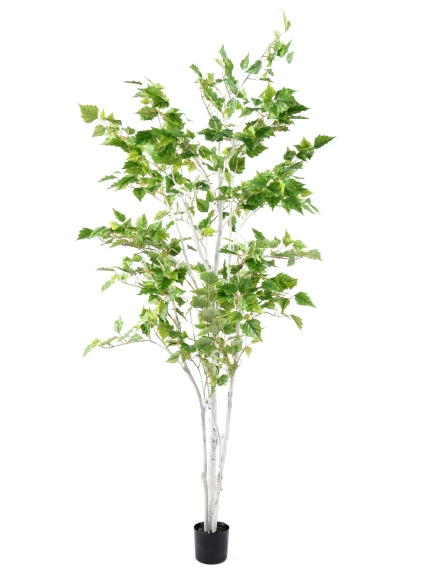 Arbre Bouleau Verruqueux artificiel