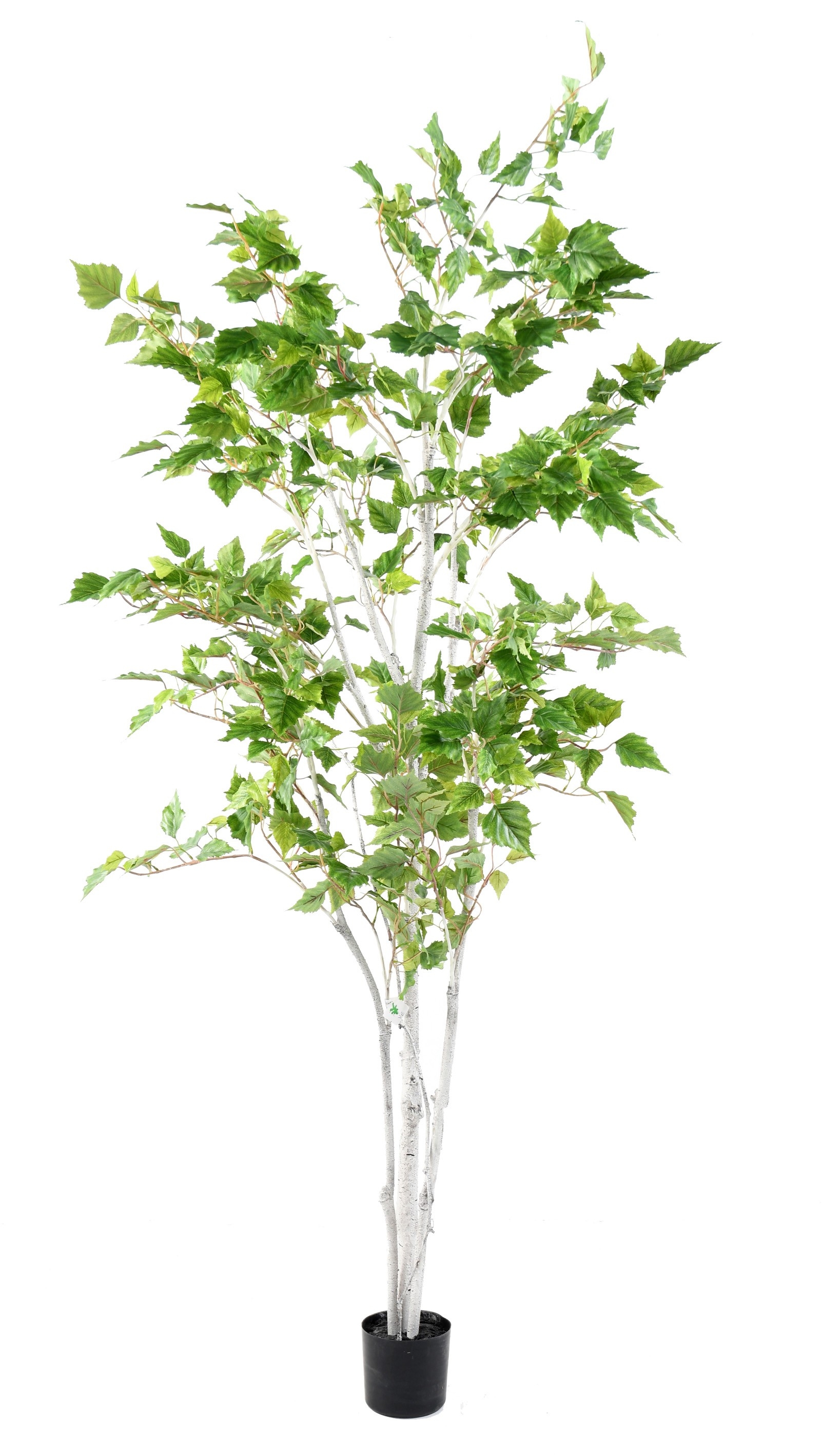 Arbre Bouleau Verruqueux artificiel