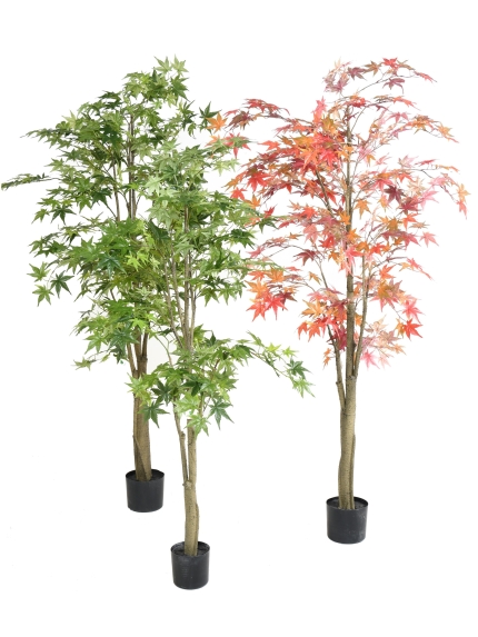 Arbres artificiels Aralia - 150 et 175 cm