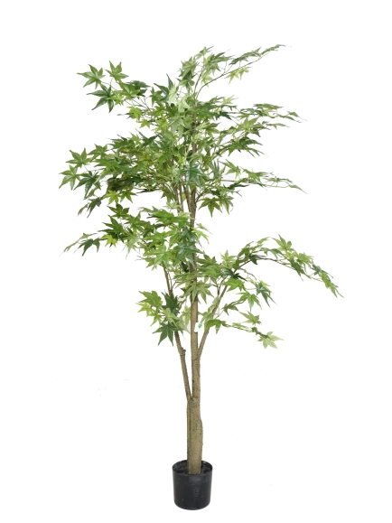 Arbres artificiels Aralia - 150 et 175 cm